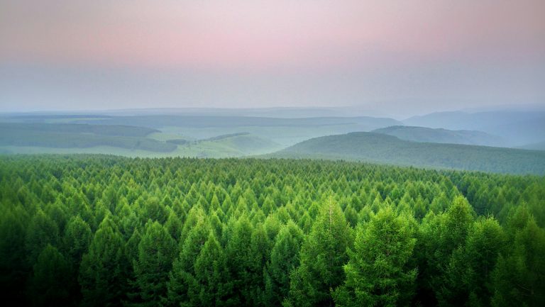 sicheng-liu-4-KqFyHKRdo-unsplash